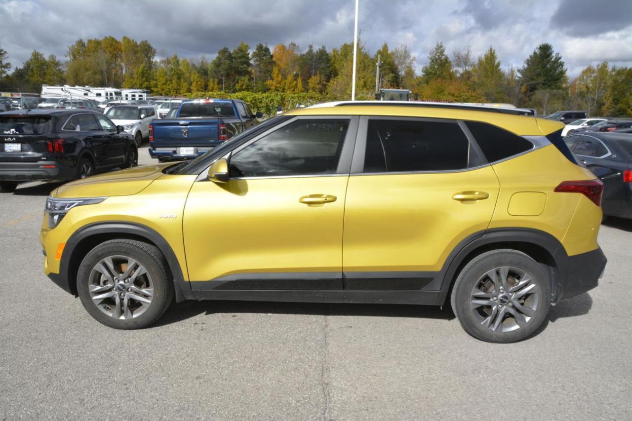 2023 Kia Seltos S Photo