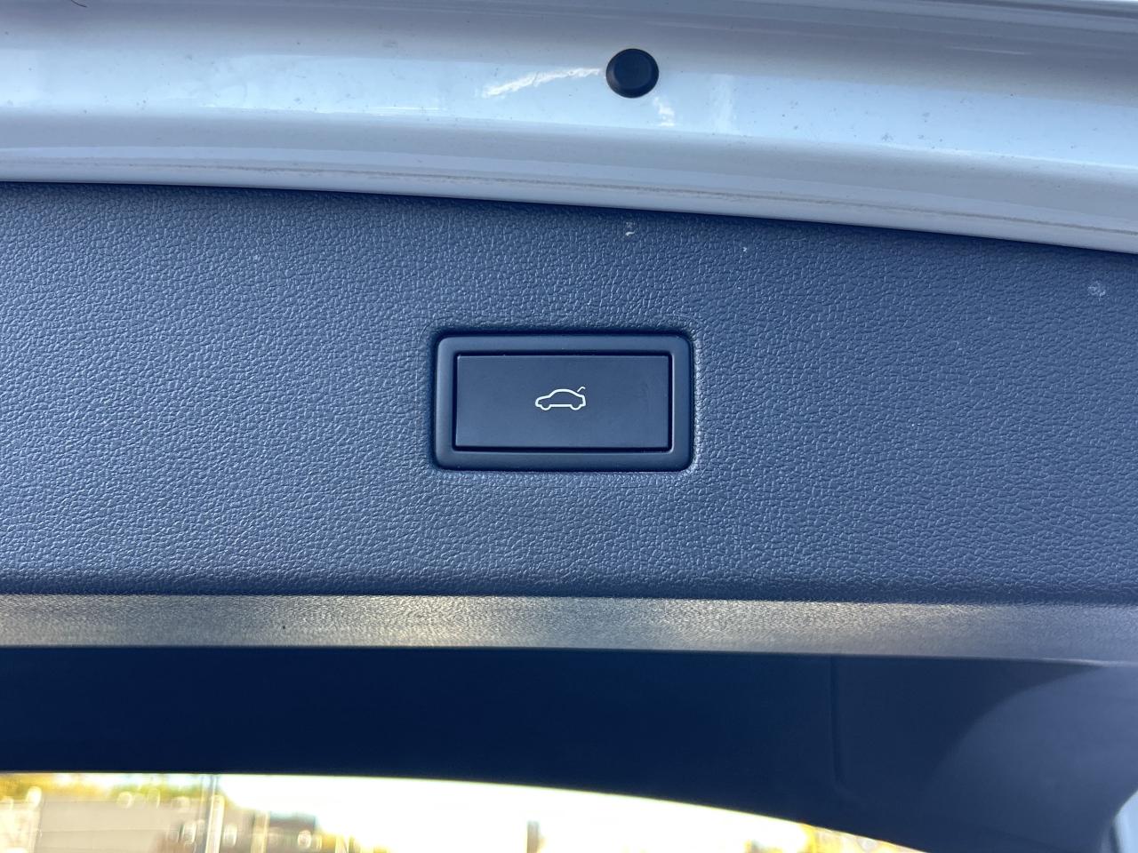 2024 Volkswagen Tiguan Comfortline 4MOTION    Pano Roof   Clean Carfax Photo