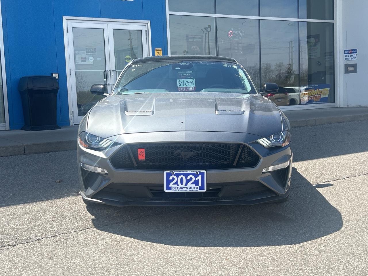 2021 Ford Mustang GT Fastback   5.0L V8   Clean Carfax Photo