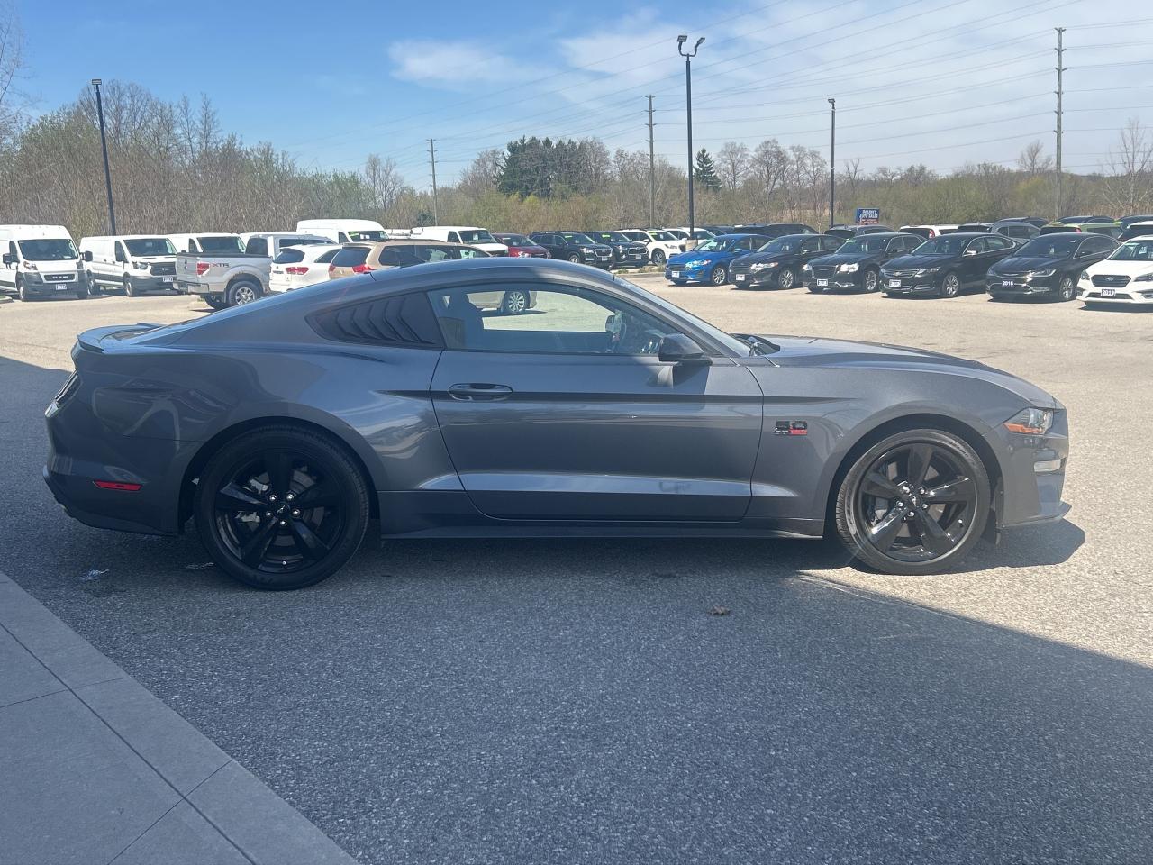 2021 Ford Mustang GT Fastback   5.0L V8   Clean Carfax Photo2