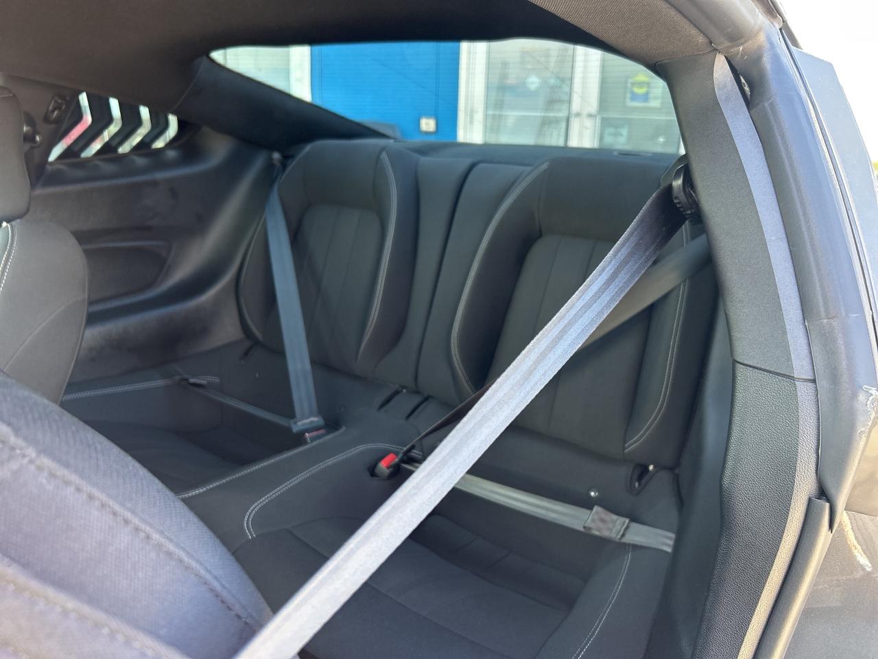 2021 Ford Mustang GT Fastback   5.0L V8   Clean Carfax Photo