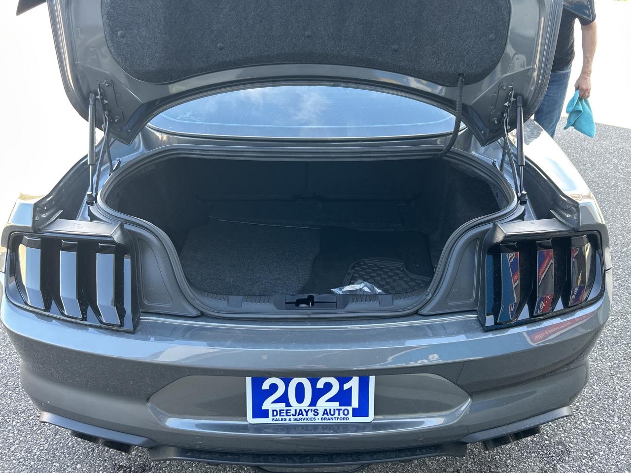 2021 Ford Mustang GT Fastback   5.0L V8   Clean Carfax Photo