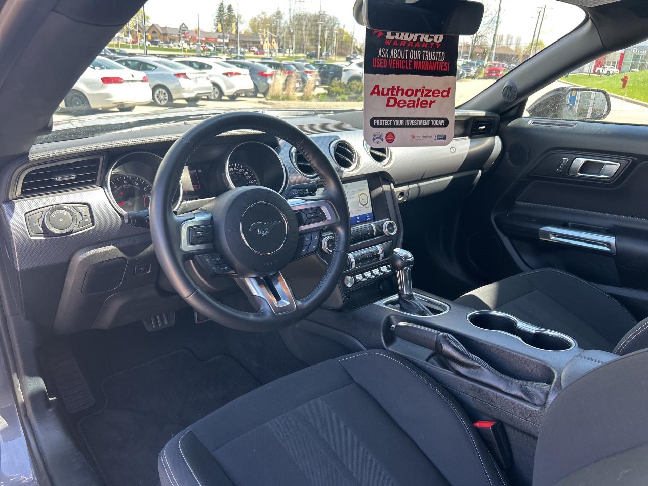 2021 Ford Mustang GT Fastback   5.0L V8   Clean Carfax Photo