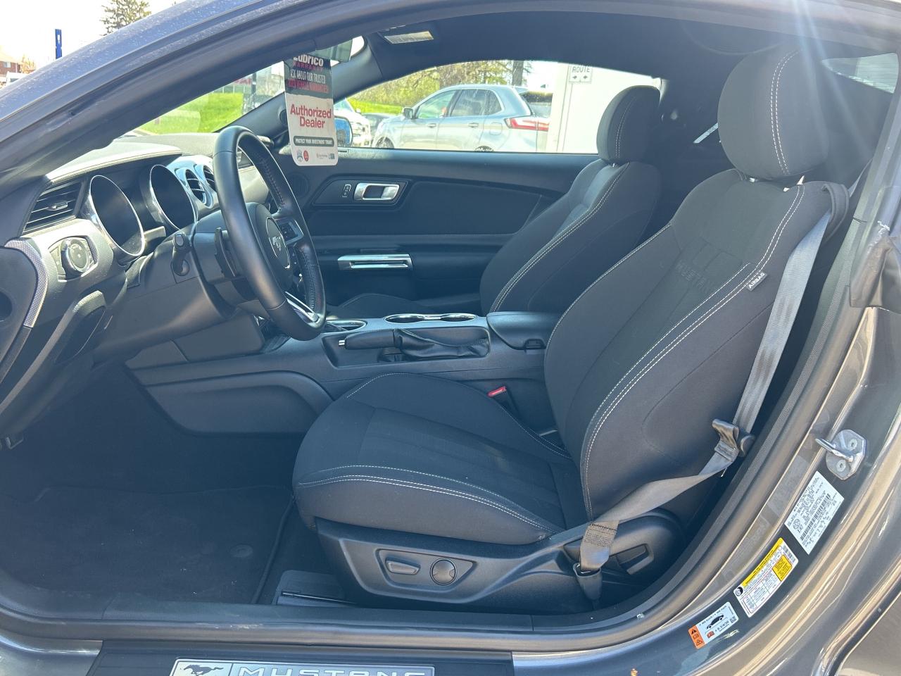 2021 Ford Mustang GT Fastback   5.0L V8   Clean Carfax Photo