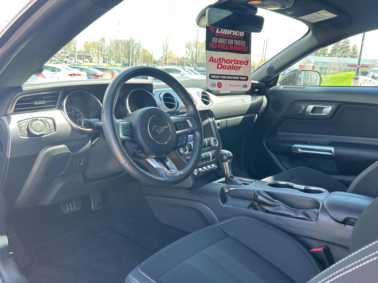 2021 Ford Mustang GT Fastback   5.0L V8   Clean Carfax Photo