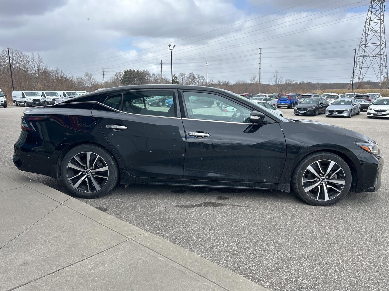 2023 Nissan Maxima SL   Leather   Dual Sunroof   Nav   Clean Carfax Photo2
