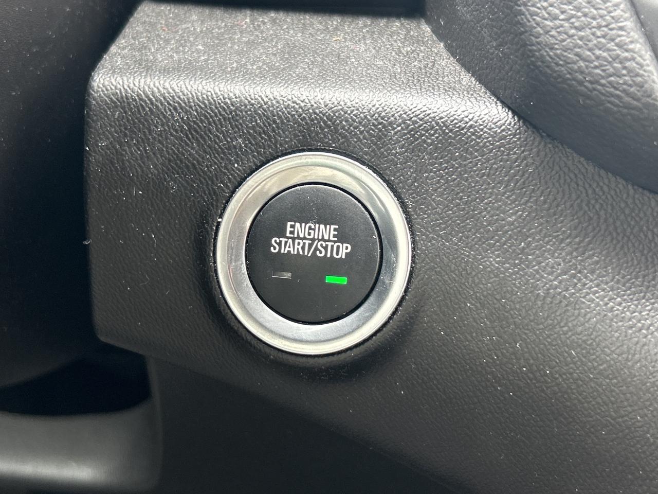 2024 GMC Terrain Low KM   Clean Carfax Photo