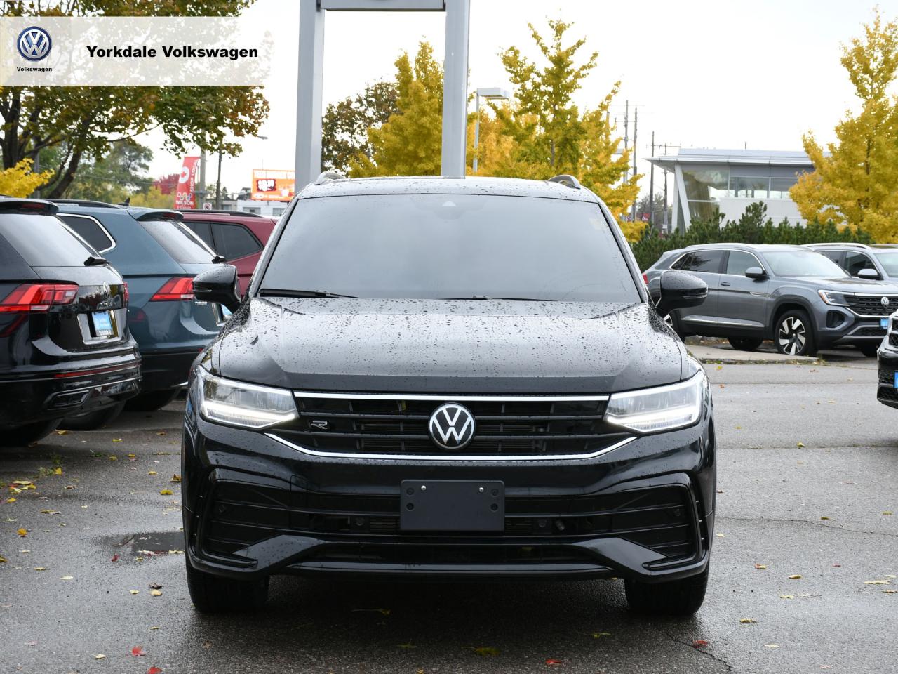 2024 Volkswagen Tiguan  Photo