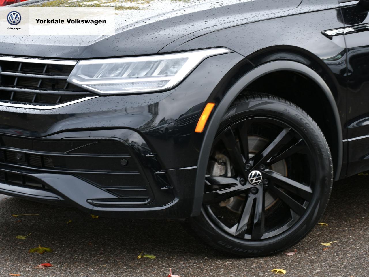 2024 Volkswagen Tiguan  Photo