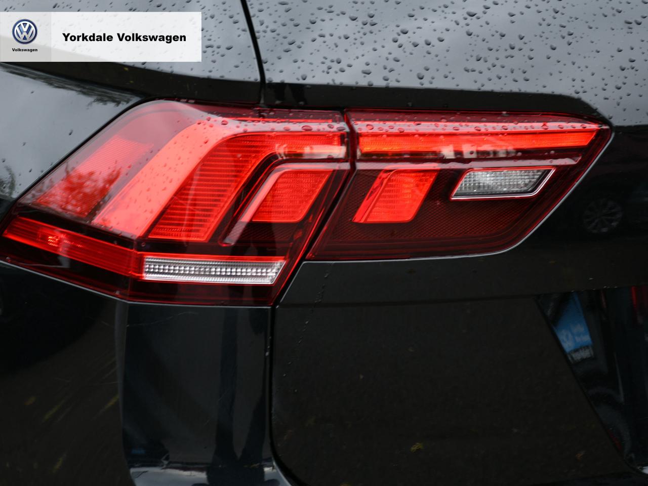 2024 Volkswagen Tiguan  Photo