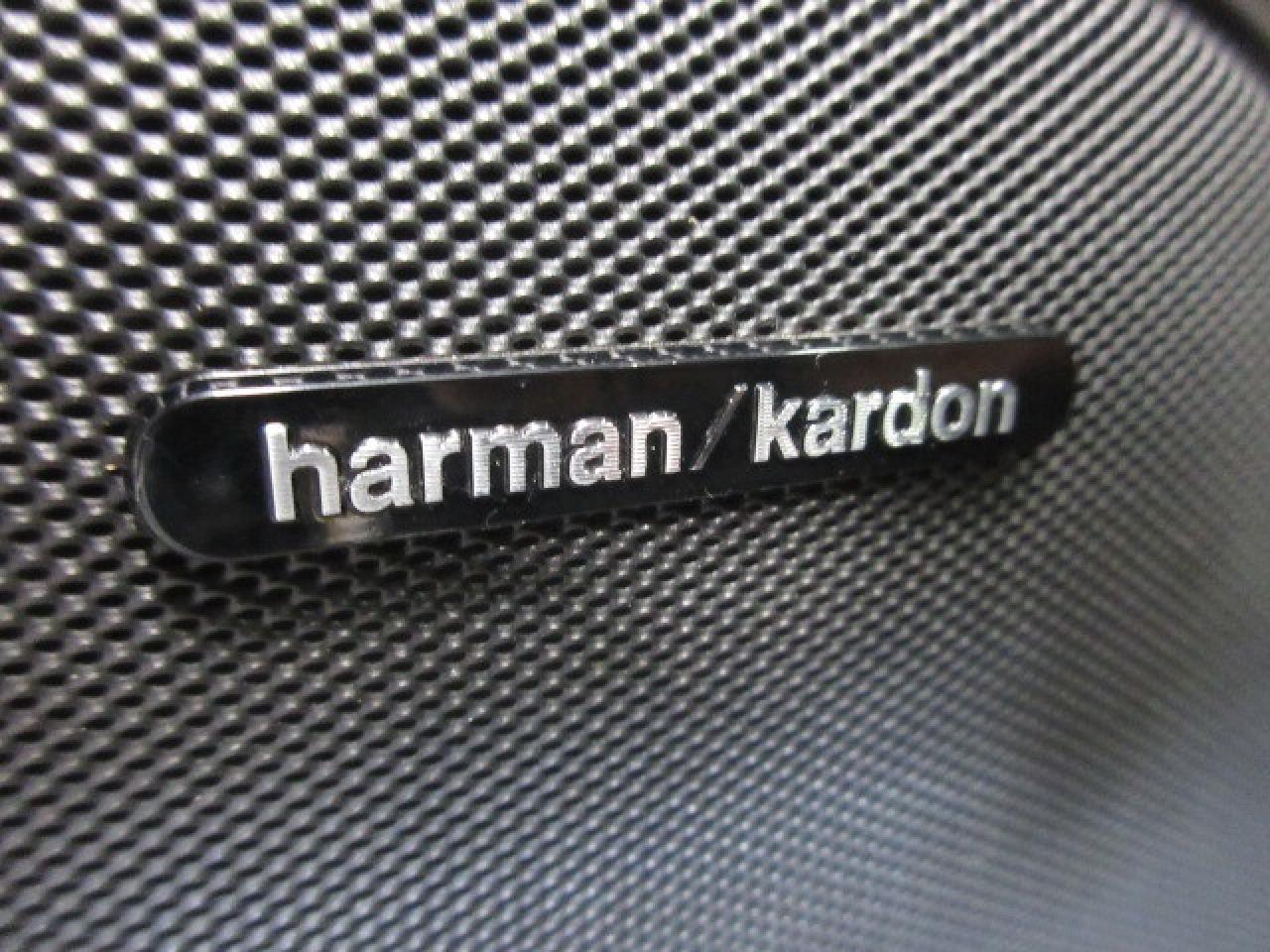 2020 Dodge Durango CITADEL PLATINUM AWD, NAV, ROOF, LEATHER, 57K! Photo