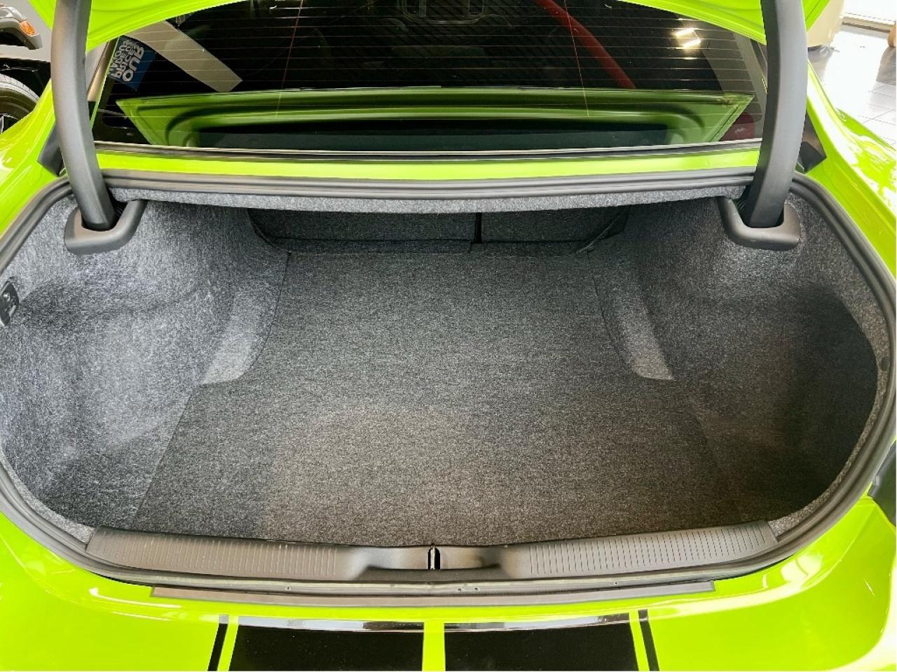 2023 Dodge Charger Off Season Pricing !!!, Scat Pack 392 Widebody Photo