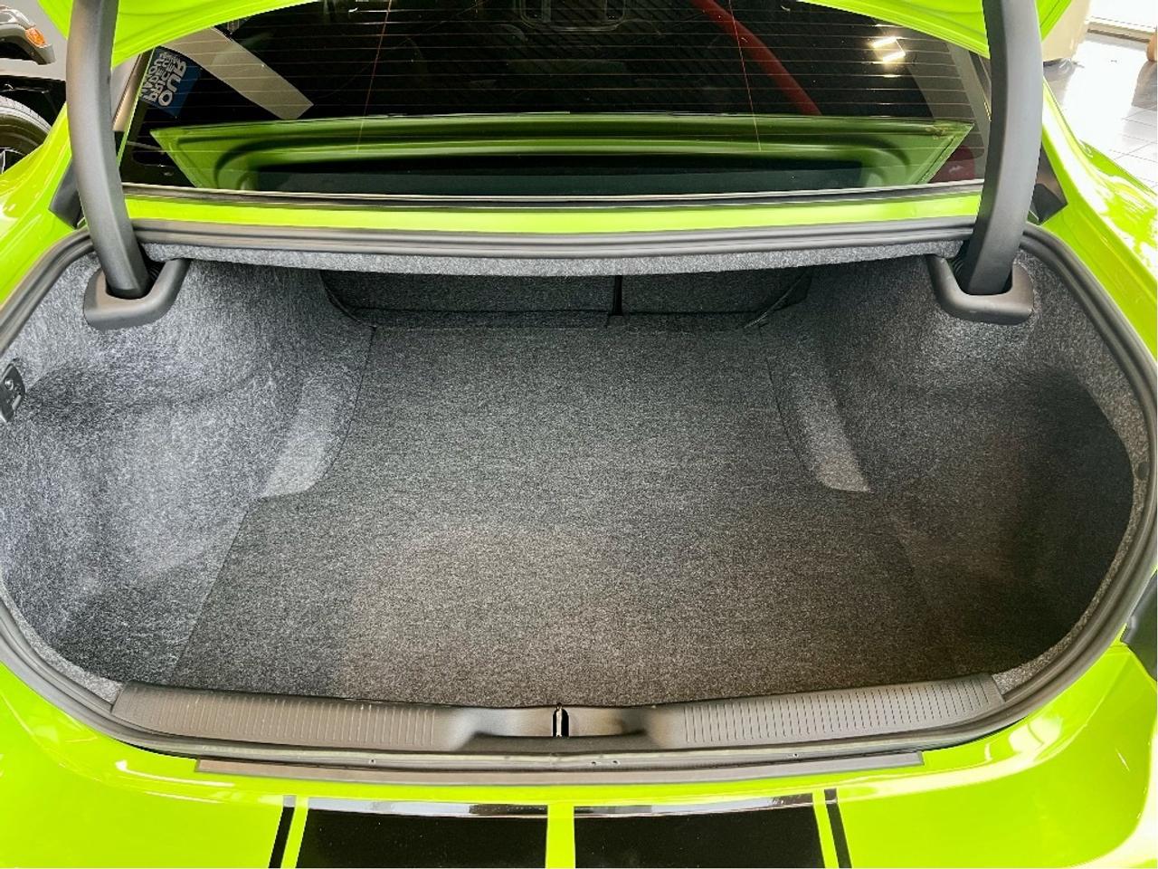 2023 Dodge Charger Super Rare Colour Combo, Scat Pack 392 Widebody Photo