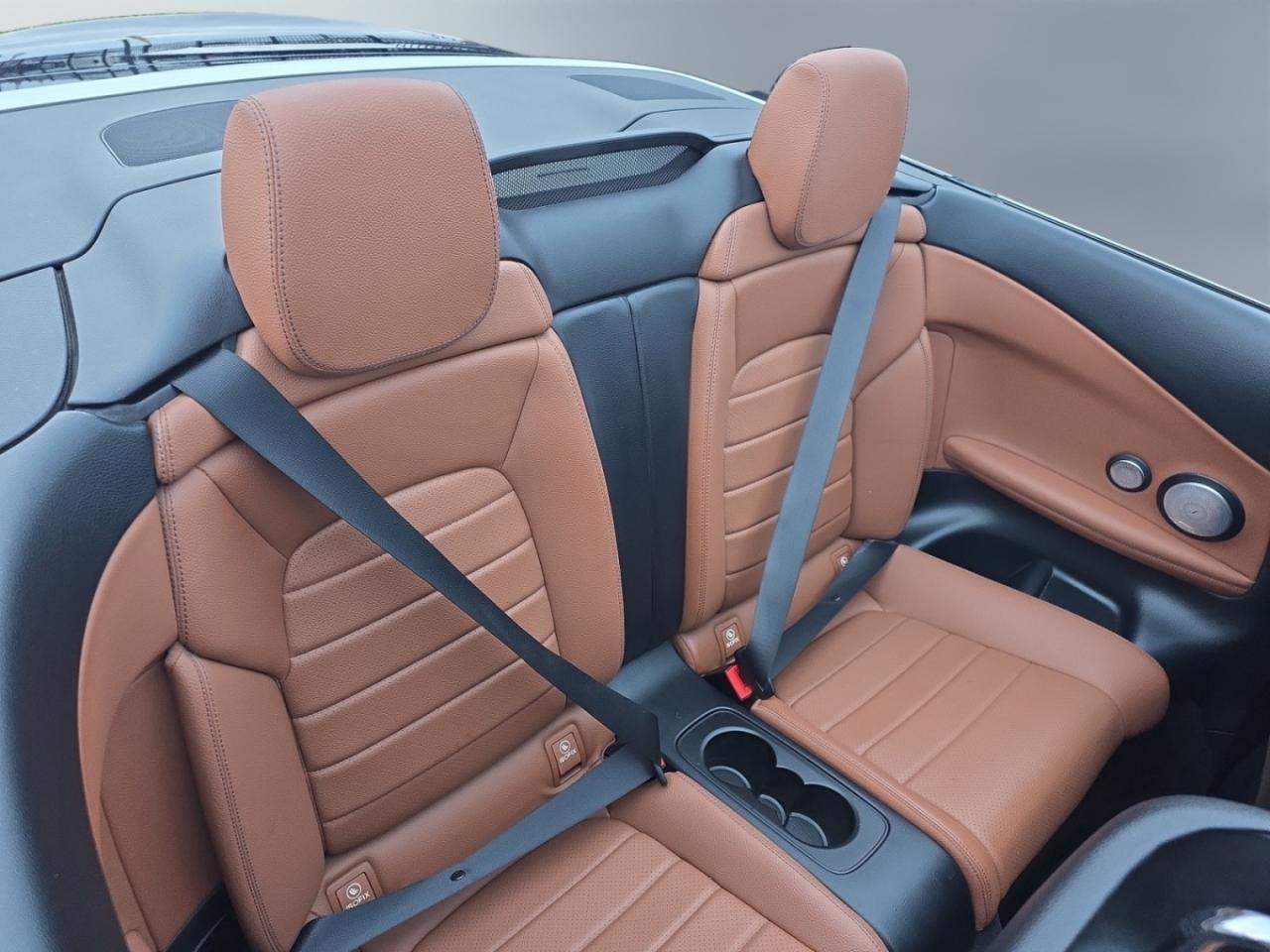 2019 Mercedes-Benz C-Class C 300 4MATIC Cabriolet AMG PKG * NO ACCIDENTS / BU Photo