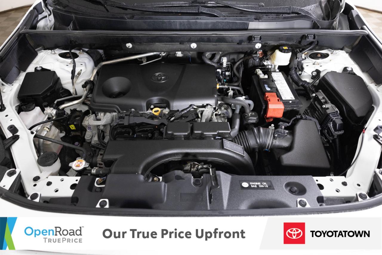 2020 Toyota RAV4 LE! ACCIDENT FREE! ELIGIBLE FOR OPEN ROAD LEASING! Photo