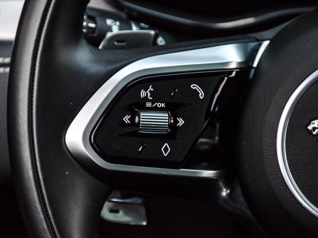 2024 Jaguar F-PACE P250 R-Dynamic S/ONE OWNER/LOW K/DLR MAINTAINED Photo