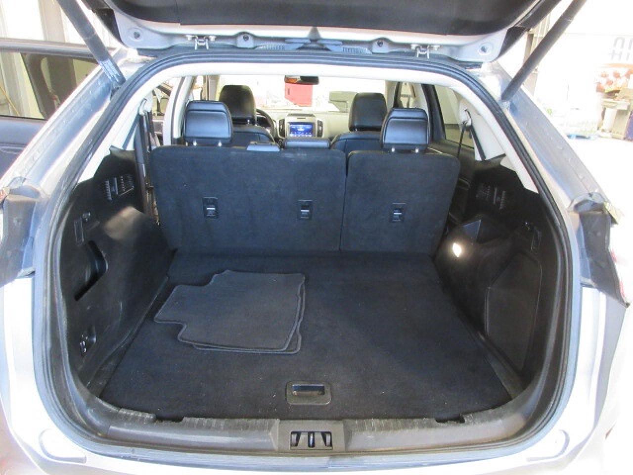 2020 Ford Edge TITANIUM AWD, ROOF, LEATHER, APPLE/ANDROID, 98K! Photo