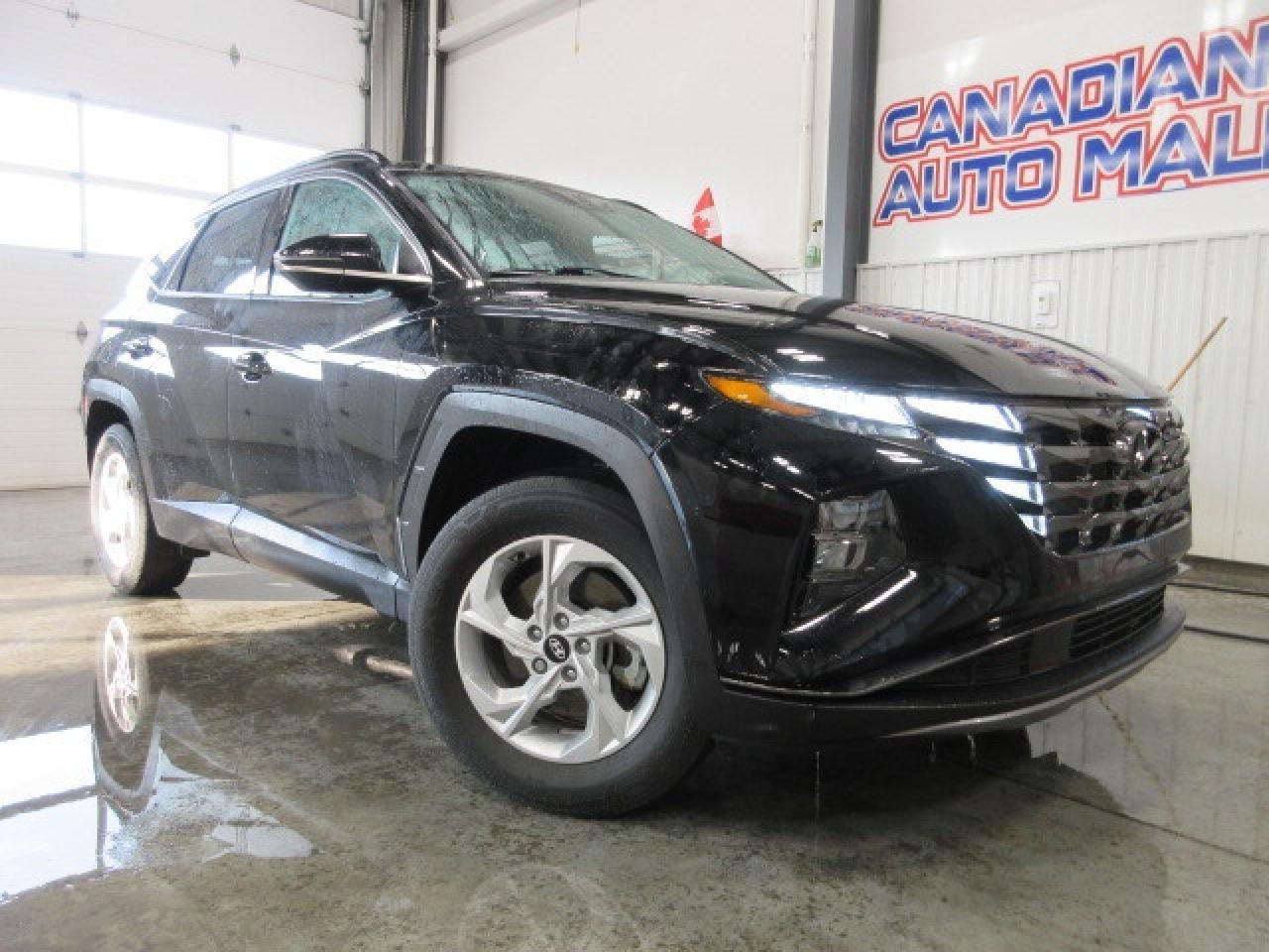 2022 Hyundai Tucson TREND AWD, PANA ROOF, LEATHER, APPLE/ANDROID, 35K! Photo