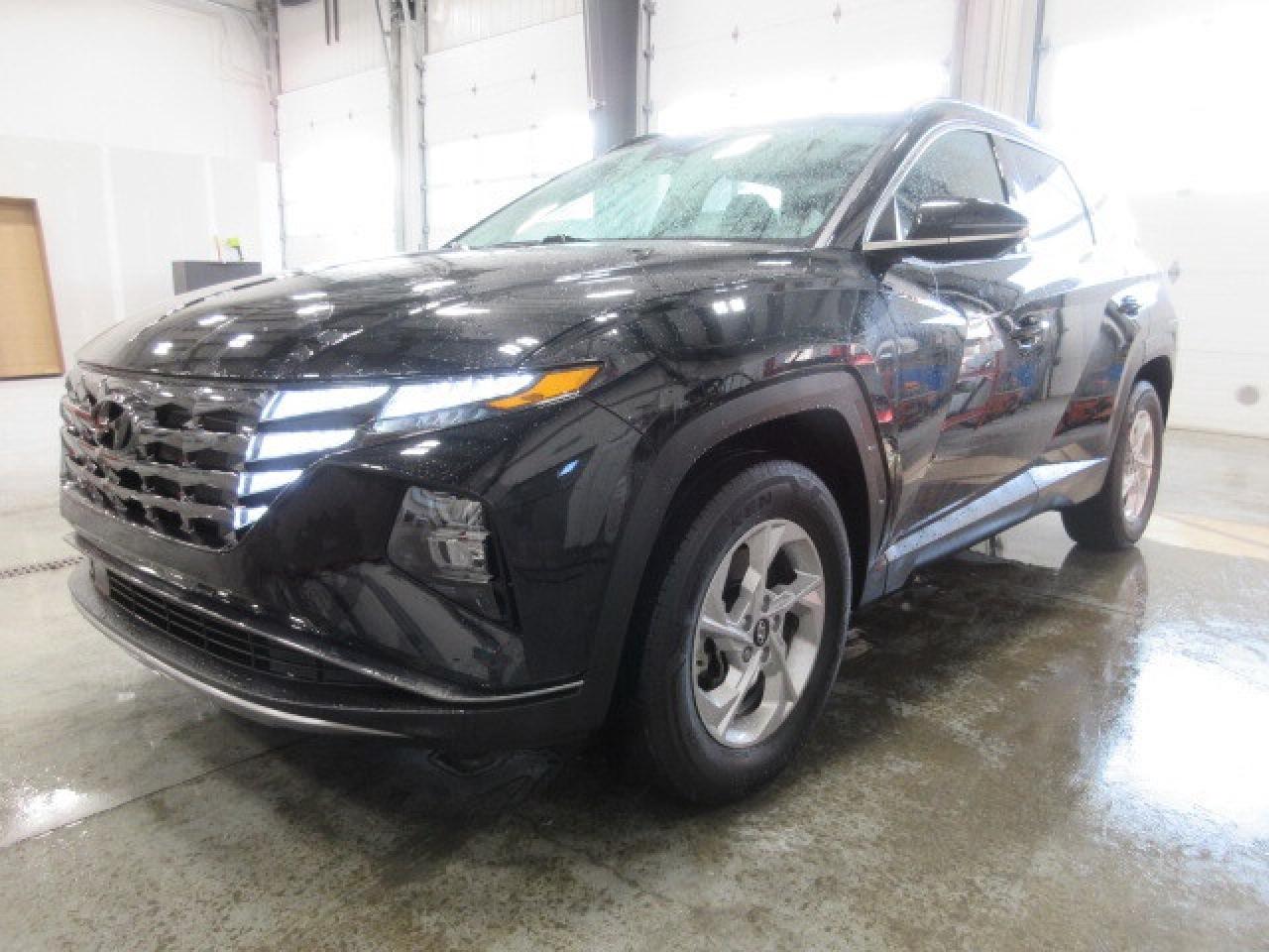 2022 Hyundai Tucson TREND AWD, PANA ROOF, LEATHER, APPLE/ANDROID, 35K! Photo3