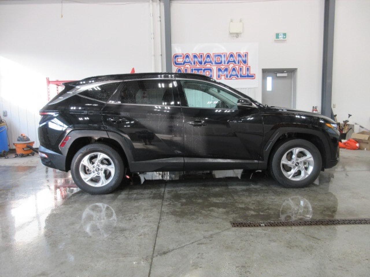 2022 Hyundai Tucson TREND AWD, PANA ROOF, LEATHER, APPLE/ANDROID, 35K! Photo