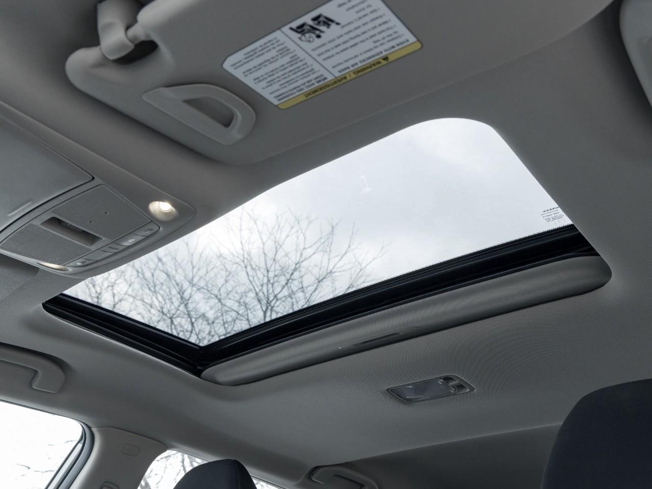 2023 Nissan Qashqai SV Photo