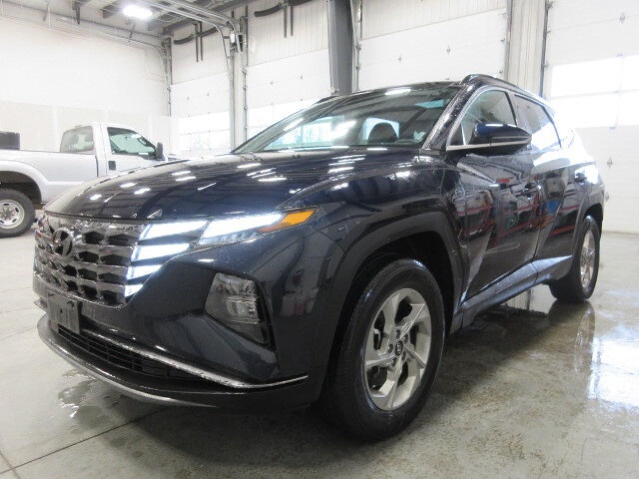 2024 Hyundai Tucson TREND AWD, NAV, ROOF, LEATHER, APPLE/ANDROID, 76K! Photo3