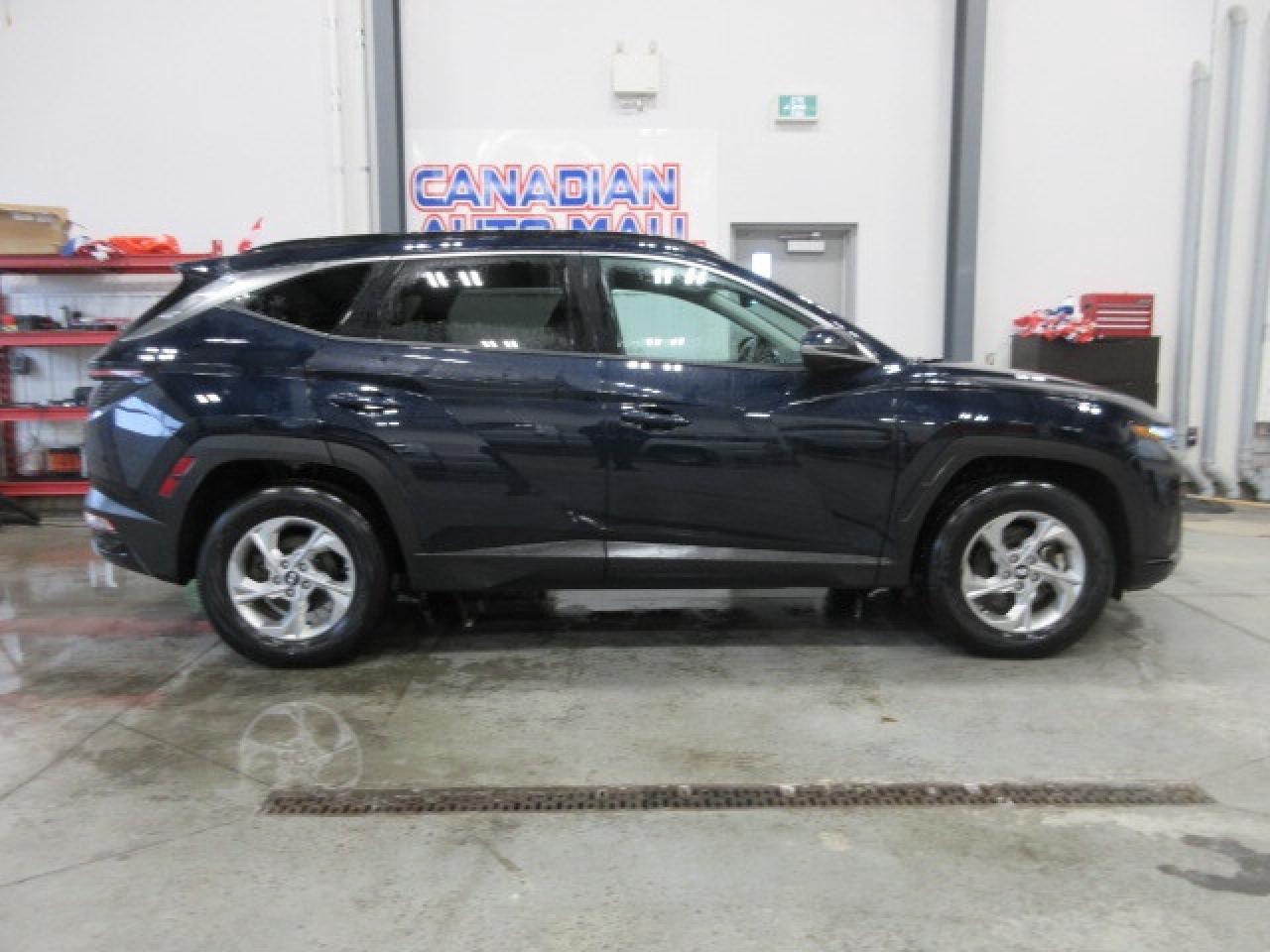 2024 Hyundai Tucson TREND AWD, NAV, ROOF, LEATHER, APPLE/ANDROID, 76K! Photo