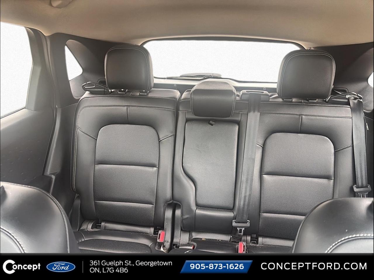 2020 Ford Escape 1 OWNER   SEL   LOW MILEAGE   NON SMOKER   CLEAN Photo4