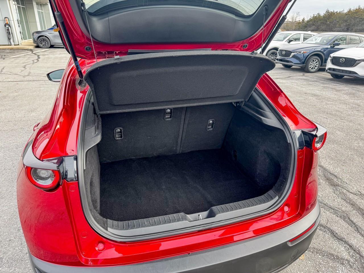 2020 Mazda CX-30 GS Photo