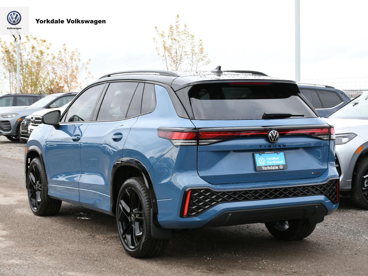 2025 Volkswagen Tiguan  Photo3