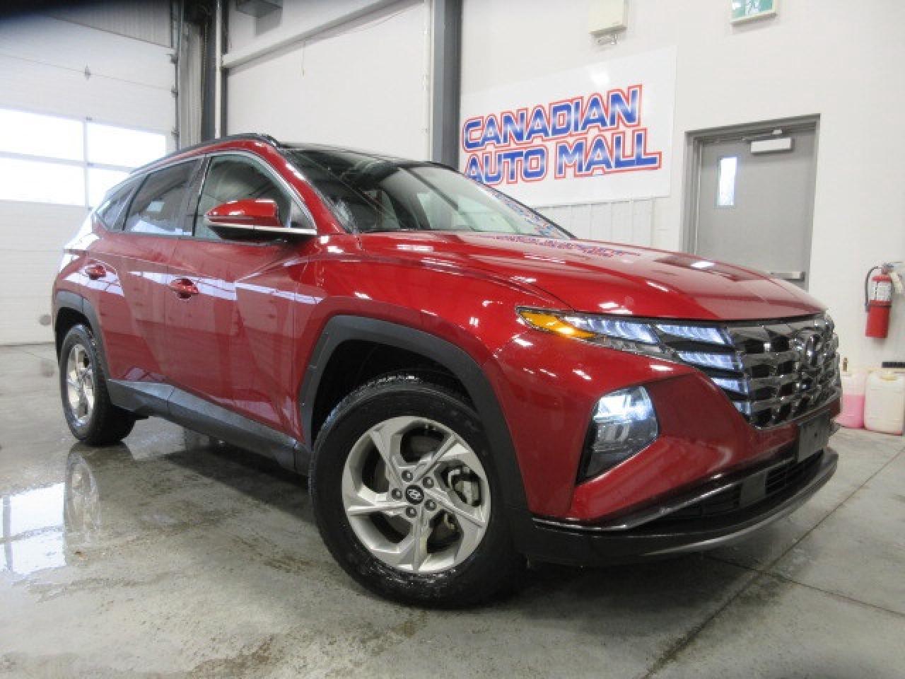 2024 Hyundai Tucson TREND AWD, NAV, ROOF, LEATHER, APPLE/ANDROID, 68K! Photo