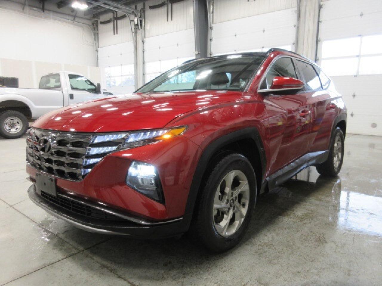 2024 Hyundai Tucson TREND AWD, NAV, ROOF, LEATHER, APPLE/ANDROID, 68K! Photo3