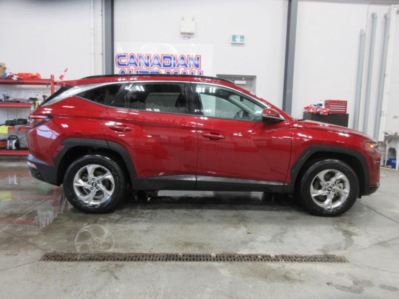 2024 Hyundai Tucson TREND AWD, NAV, ROOF, LEATHER, APPLE/ANDROID, 68K! Photo