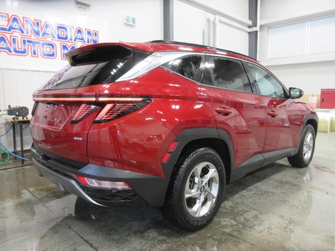 2024 Hyundai Tucson TREND AWD, NAV, ROOF, LEATHER, APPLE/ANDROID, 68K! Photo
