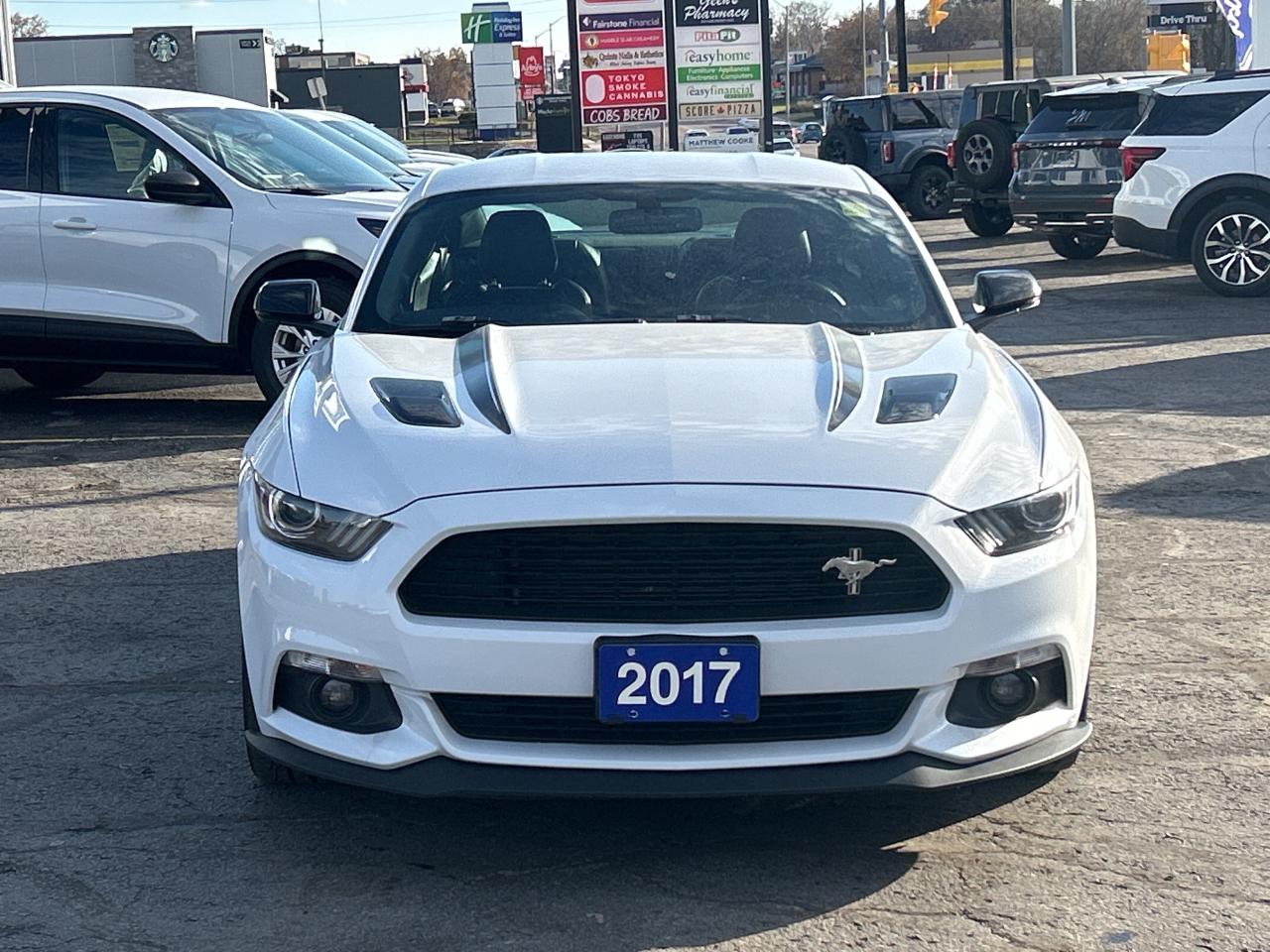 2017 Ford Mustang GT PREMIUM 5.0L MANUAL CALIFORNIA SPECIAL PKG Photo