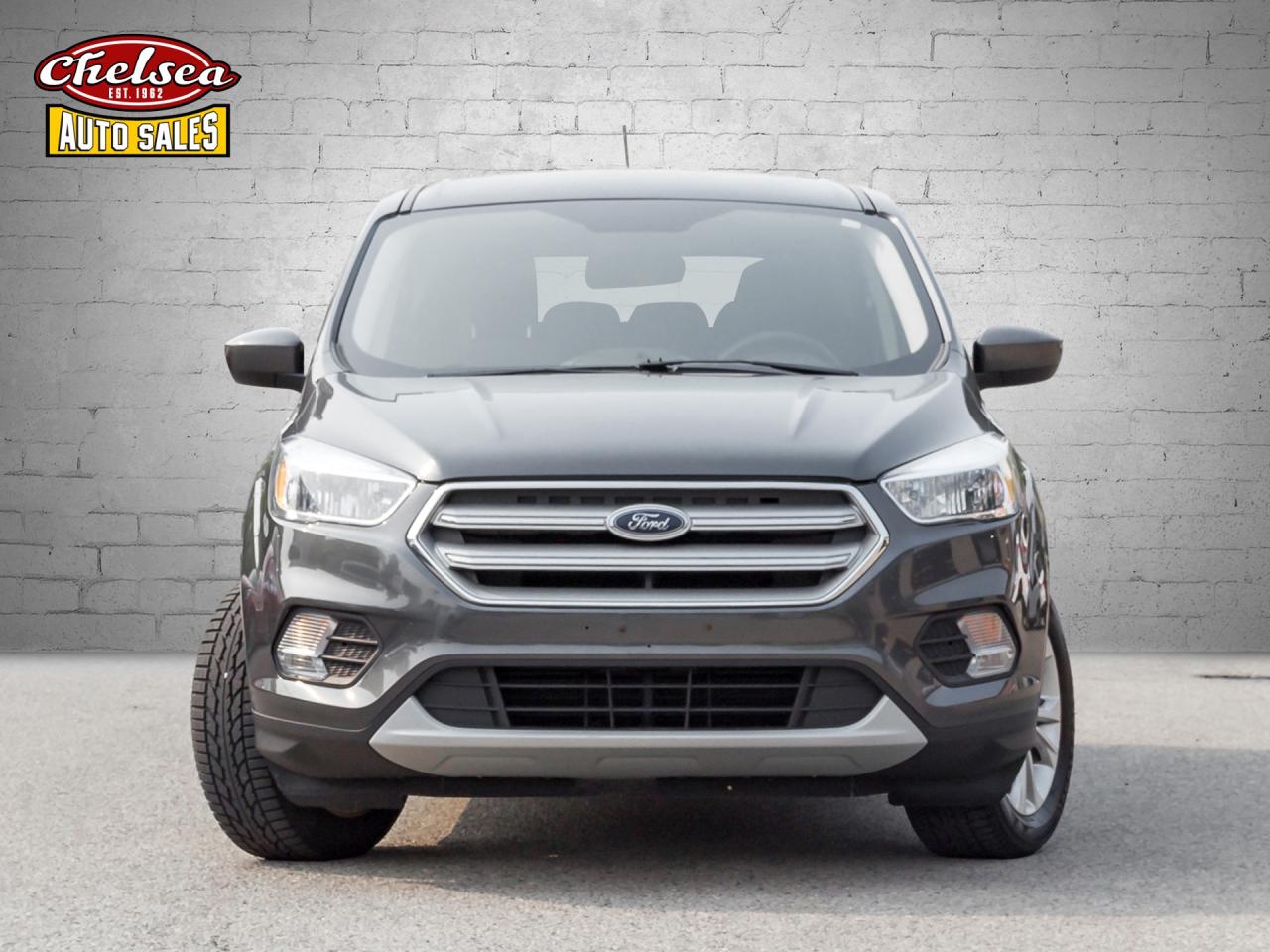 2019 Ford Escape SE 4WD Photo