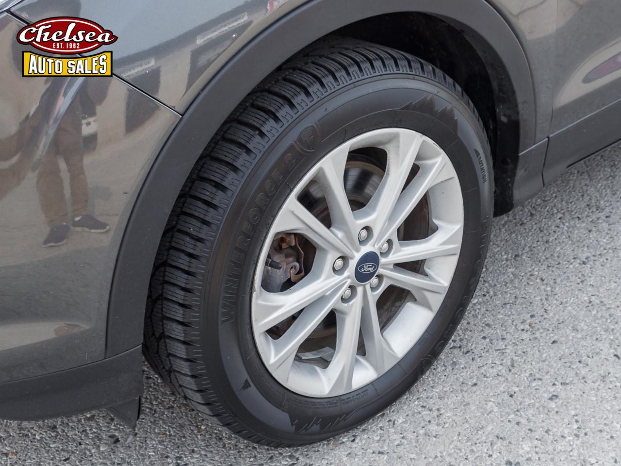 2019 Ford Escape SE 4WD Photo