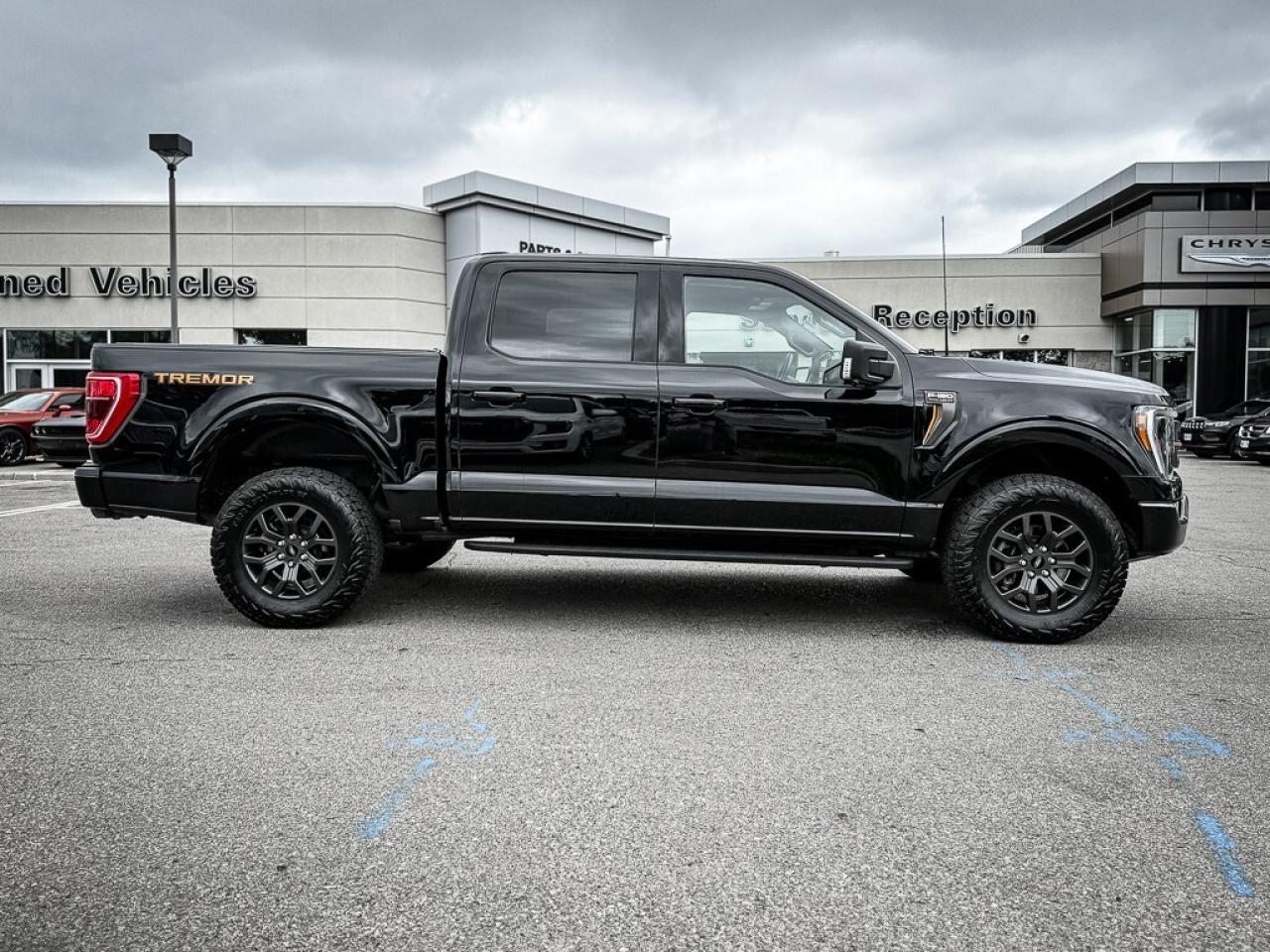 2023 Ford F-150 Tremor   SUPERCREW   PANO ROOF   360 CAM   B&O AUD Photo