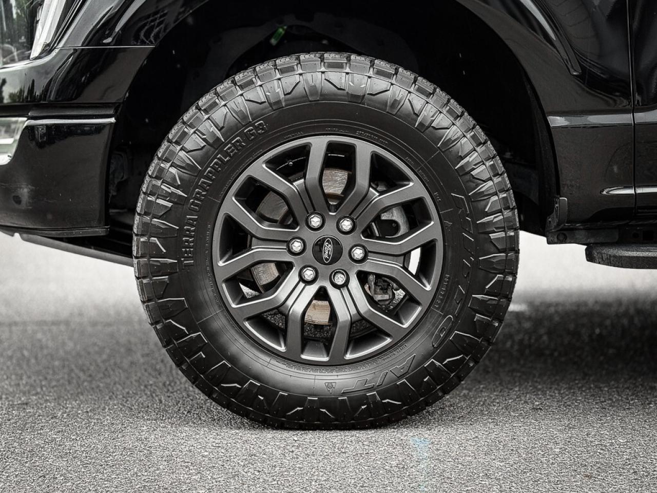 2023 Ford F-150 Tremor   SUPERCREW   PANO ROOF   360 CAM   B&O AUD Photo