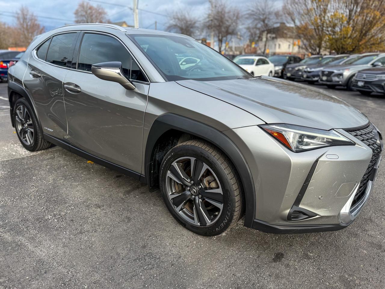2019 Lexus UX UX 250H/HYBRID-LUXURY/NAVI/HUD/BSM/ACC/LDA/ROOF Photo