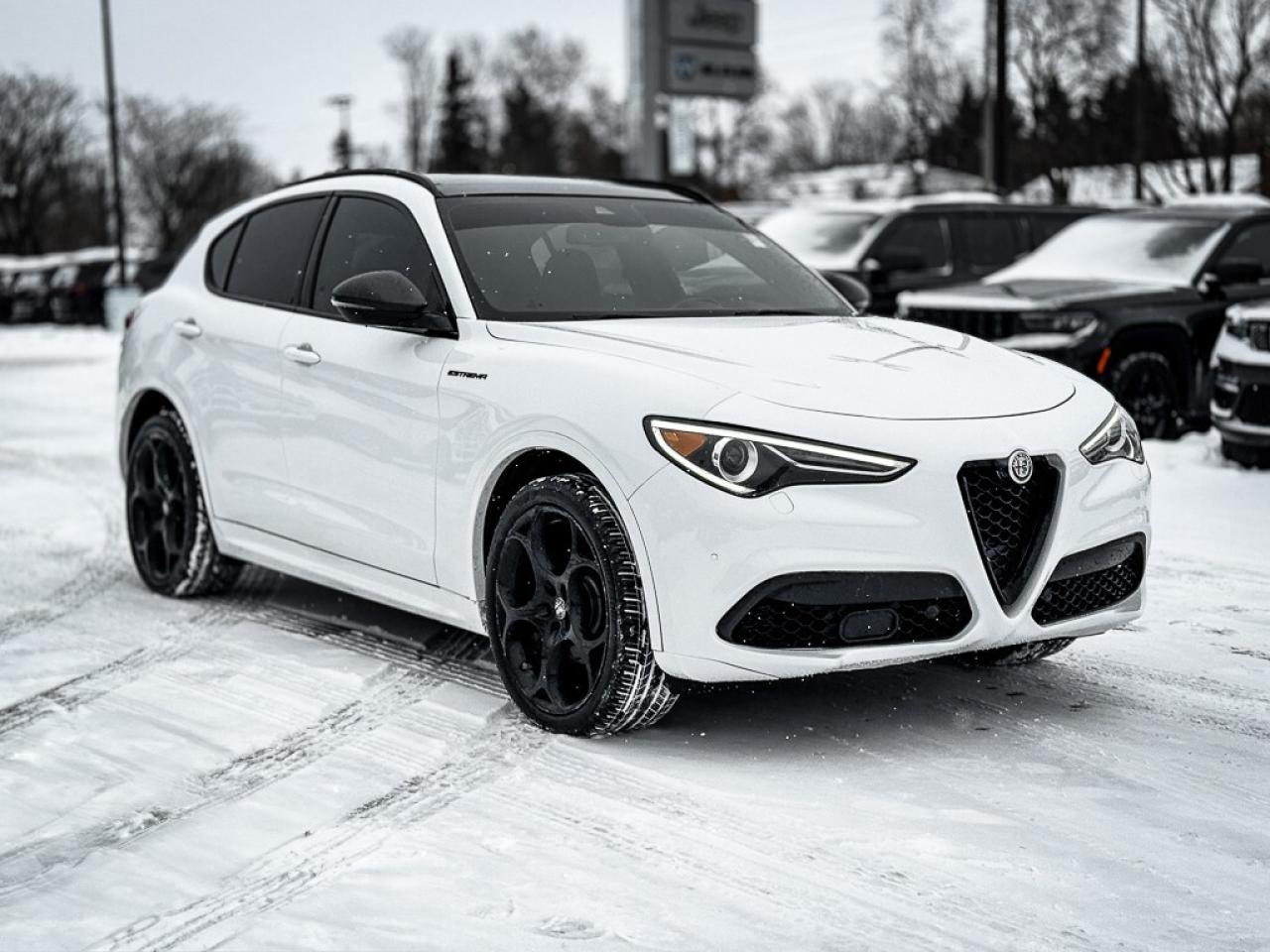 2023 Alfa Romeo Stelvio ti   AWD   PANO ROOF   HARMAN/KARDON AUDIO   REMOT Photo2