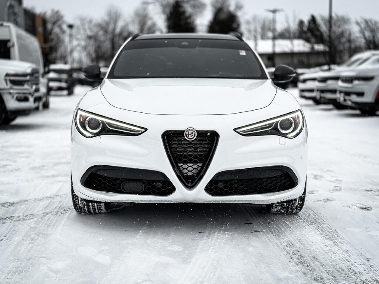 2023 Alfa Romeo Stelvio ti   AWD   PANO ROOF   HARMAN/KARDON AUDIO   REMOT Photo