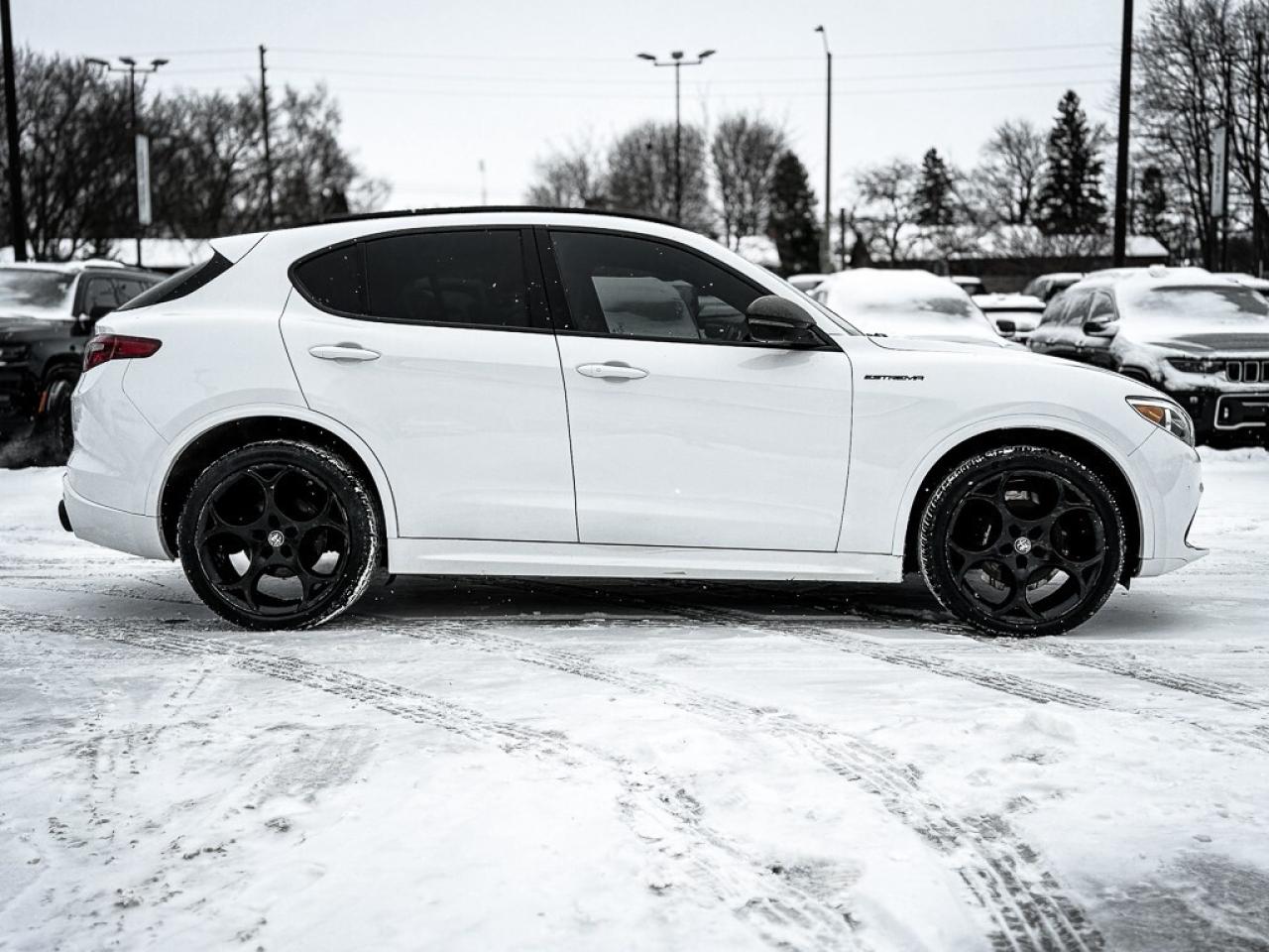 2023 Alfa Romeo Stelvio ti   AWD   PANO ROOF   HARMAN/KARDON AUDIO   REMOT Photo