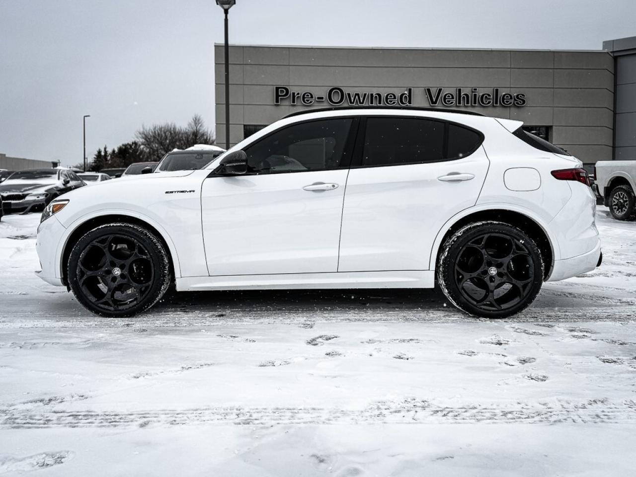 2023 Alfa Romeo Stelvio ti   AWD   PANO ROOF   HARMAN/KARDON AUDIO   REMOT Photo