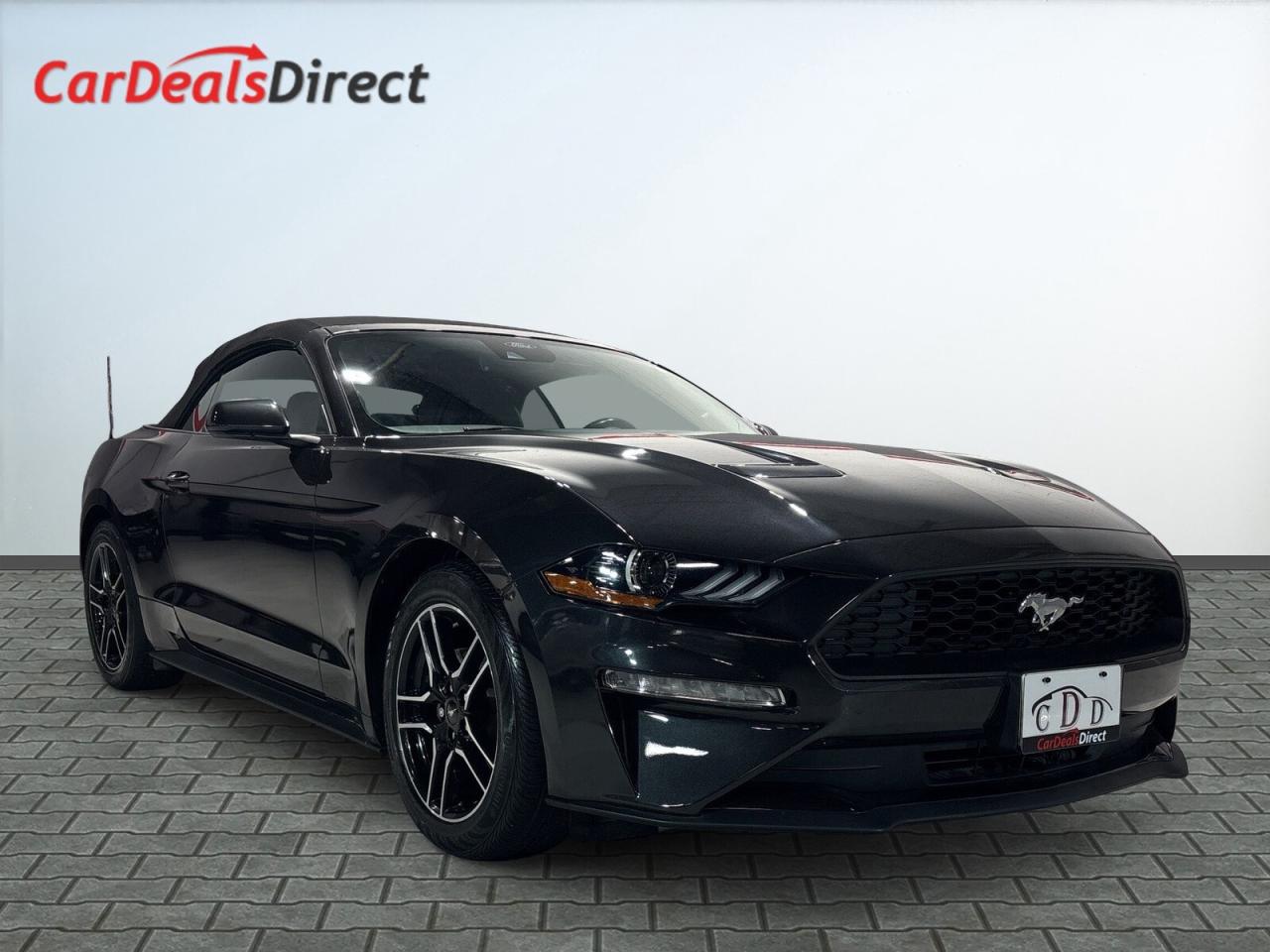 2022 Ford Mustang Convertible / Leather / Back up cam / Android Car Photo0