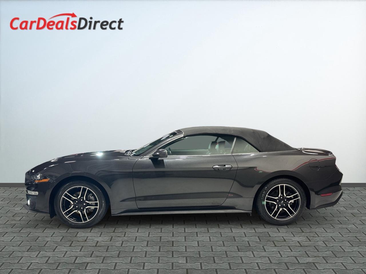 2022 Ford Mustang Convertible / Leather / Back up cam / Android Car Photo3