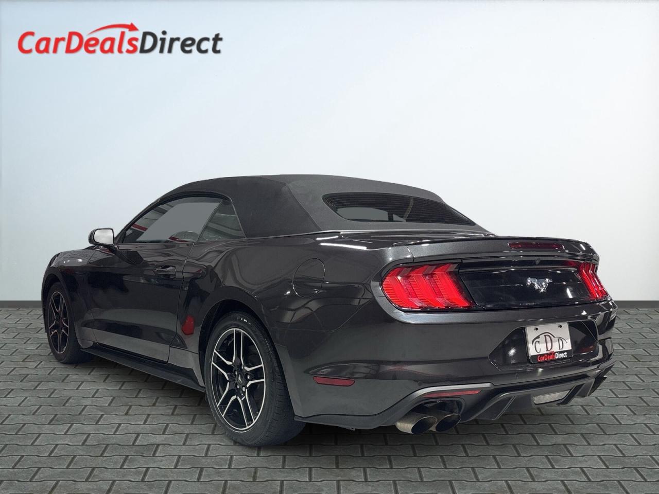 2022 Ford Mustang Convertible / Leather / Back up cam / Android Car Photo4