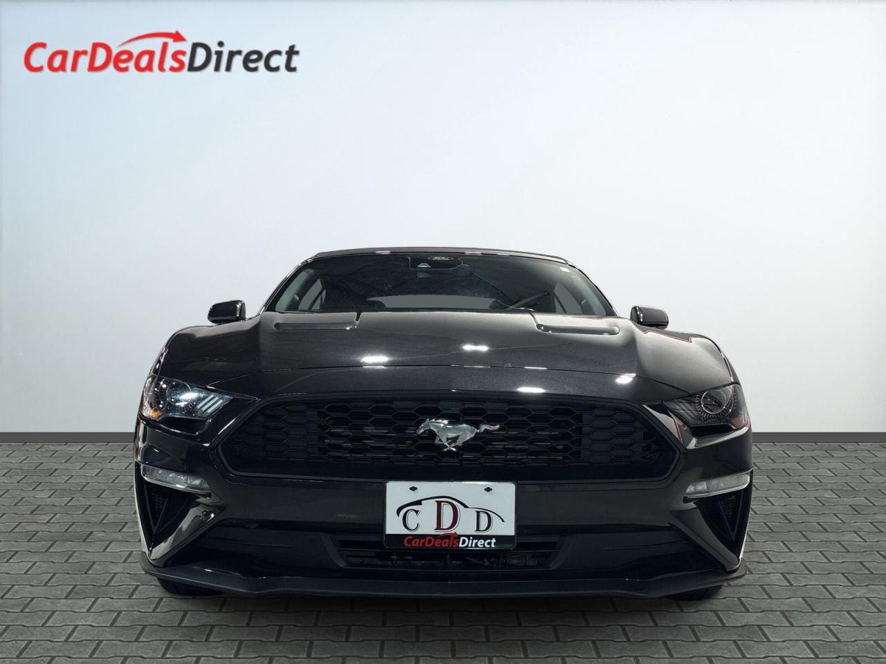 2022 Ford Mustang Convertible / Leather / Back up cam / Android Car Photo