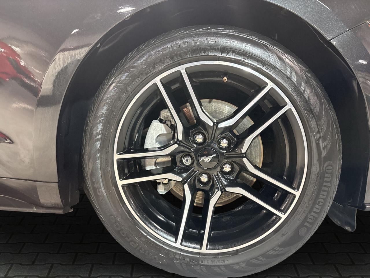 2022 Ford Mustang Convertible / Leather / Back up cam / Android Car Photo