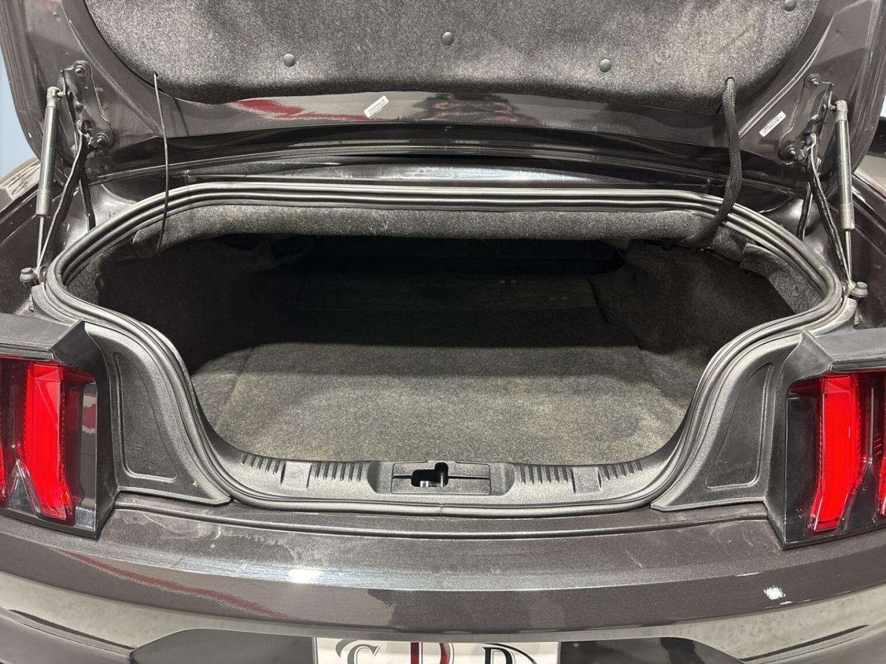 2022 Ford Mustang Convertible / Leather / Back up cam / Android Car Photo